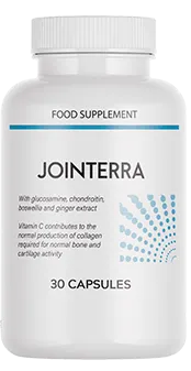 Jointerra